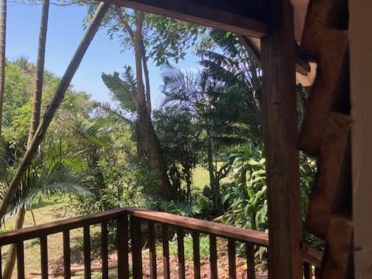 Cycasia Lodge - 258258