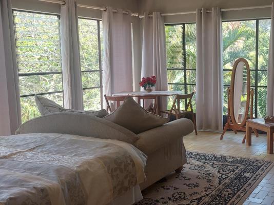 Cycasia Lodge - 258264