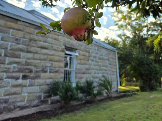 Love Story Guest House - 258332