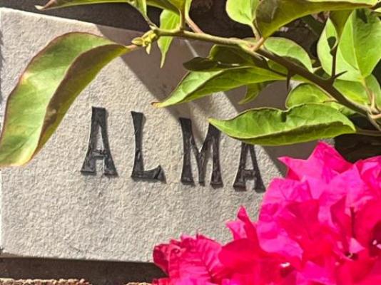 The Alma House 1900 - Facade or entrance