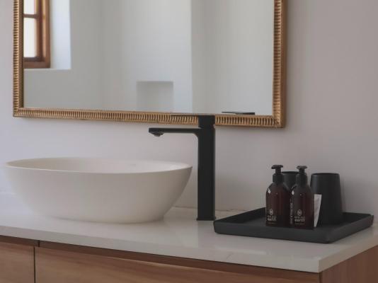 The Alma House 1900 - 258382