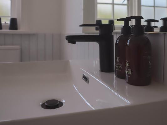 The Alma House 1900 - 258408