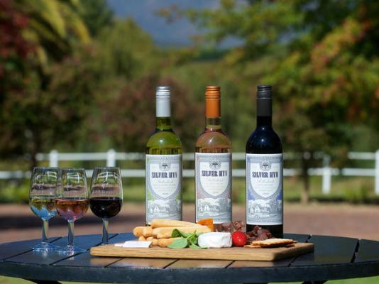 Zorgvliet Wines Country Lodge - 258595