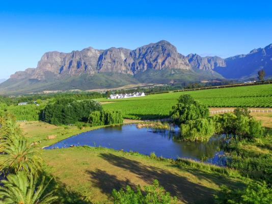 Zorgvliet Wines Country Lodge - 258598