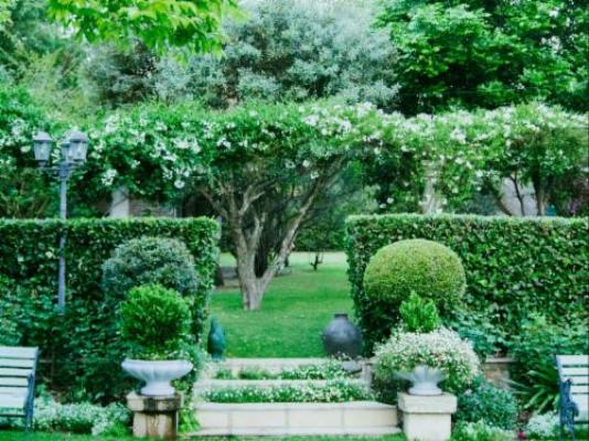 Burkleigh House - Garden