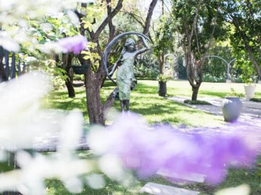 Burkleigh House - Garden