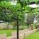 Rosendal Vryburg Guesthouse - Garden