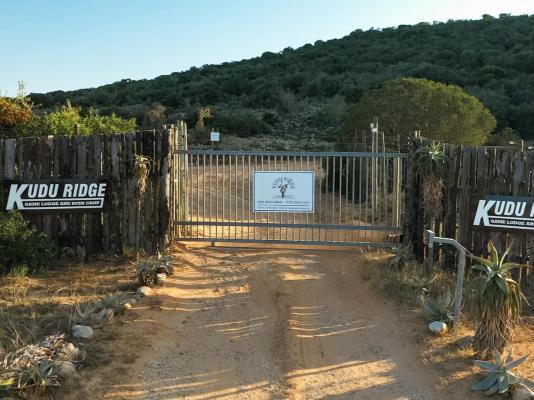 Kudu Ridge Game Lodge - 258870
