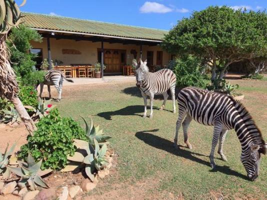 Kudu Ridge Game Lodge - 258871