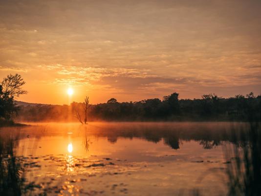 Summerplace Game Reserve - 258945