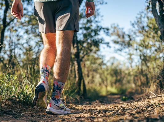 Summerplace Game Reserve - 258958