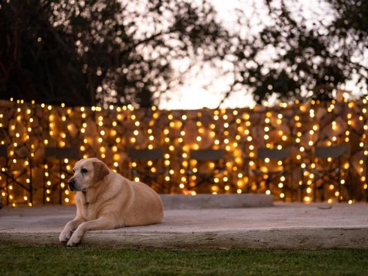 Summerplace Game Reserve - 258962