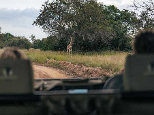 Summerplace Game Reserve - 258963