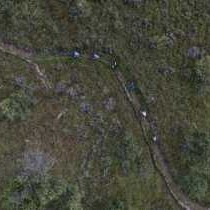 Summerplace Game Reserve - 258969