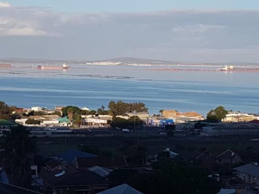 Albatross Nest - 259281