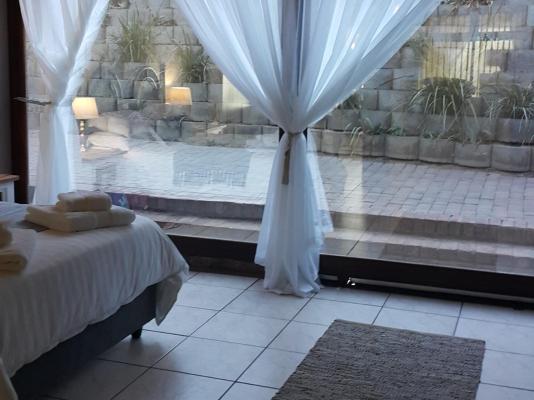 Albatross Nest - 259286