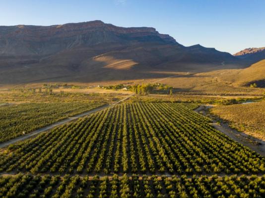 Mount Ceder Lodge - 259301