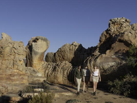 Mount Ceder Lodge - 259302