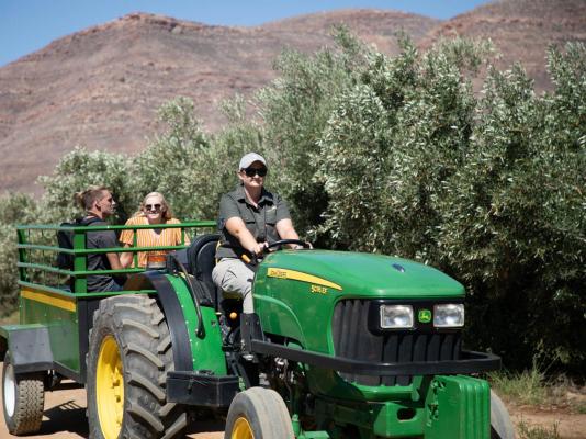 Mount Ceder Lodge - 259305