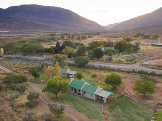 Mount Ceder Lodge - 259306