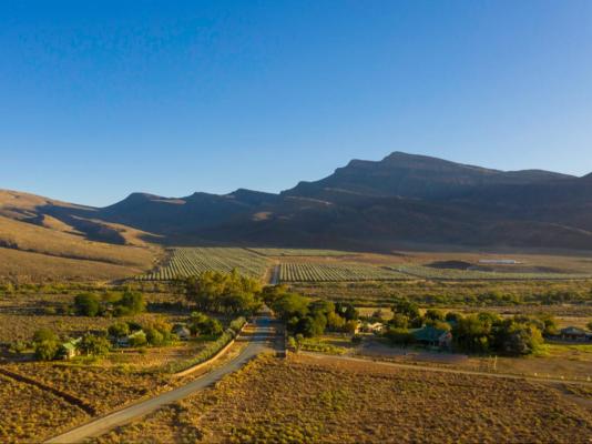 Mount Ceder Lodge - 259309