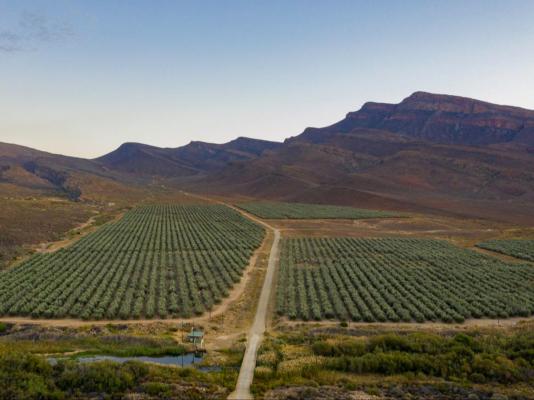 Mount Ceder Lodge - 259316