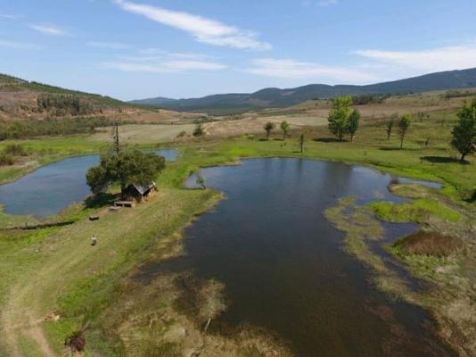 Gunyatoo Trout Farm & Guest Lodge - 259395