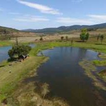 Gunyatoo Trout Farm & Guest Lodge - 259395