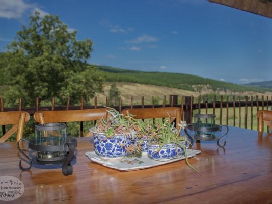 Gunyatoo Trout Farm & Guest Lodge - 259409