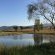 Gunyatoo Trout Farm & Guest Lodge - 259427