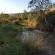 Gunyatoo Trout Farm & Guest Lodge - 259428