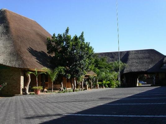 Golden Pillow - 259471