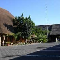 Golden Pillow - 259471