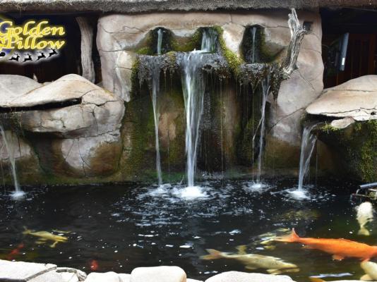 Golden Pillow - 259474