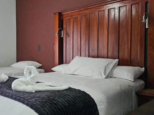 Golden Pillow - 259484