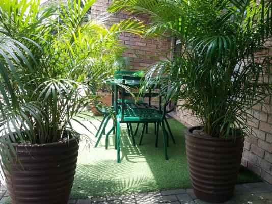 Sunshine Selfcatering - 259542