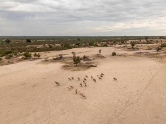 Namasands - Neighbourhood