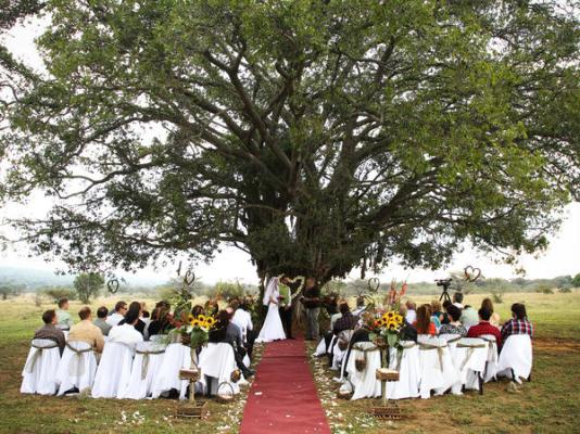 Izintaba Private Game Reserve - 259664