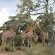 Izintaba Private Game Reserve - 259666