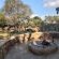 Izintaba Private Game Reserve - 259677