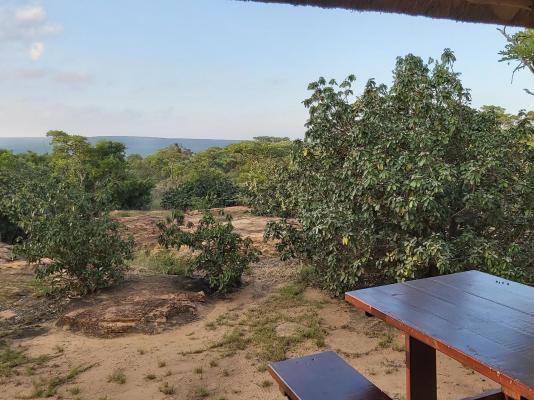 Izintaba Private Game Reserve - 259701