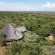 Izintaba Private Game Reserve - 259715