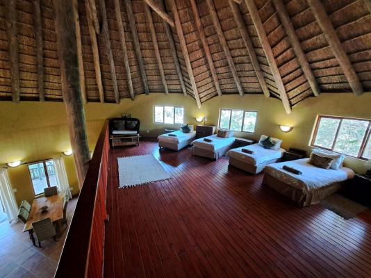 Izintaba Private Game Reserve - 259717