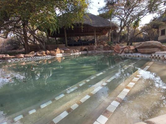 Izintaba Private Game Reserve - 259737