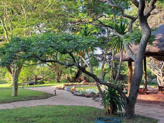 Izintaba Private Game Reserve - 259746