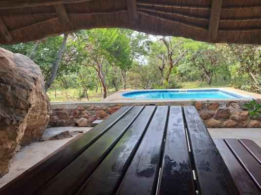 Izintaba Private Game Reserve - 259762