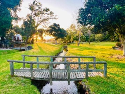 Monkscowl Estate - Garden view