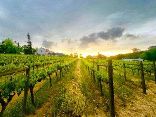 Monkscowl Estate - Natural landscape