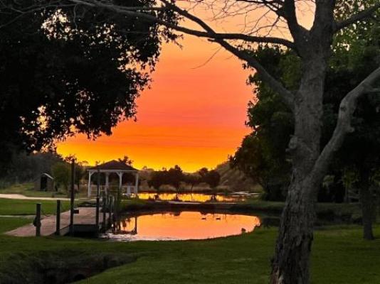 Monkscowl Estate - Garden