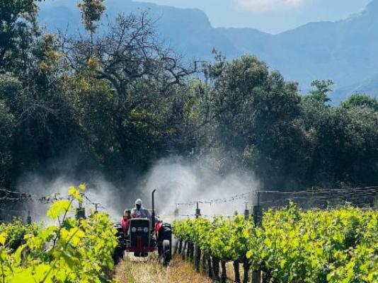 Monkscowl Estate - Garden